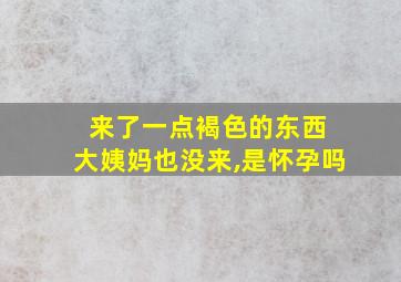 来了一点褐色的东西 大姨妈也没来,是怀孕吗